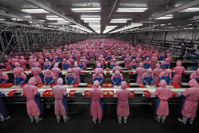 "Manufacturing #17", Deda Chicken Processing Plant, Dehui City,