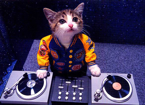 Six parties for cool cats this weekend