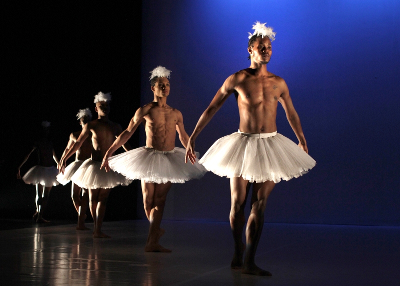 A new vision for Swan Lake