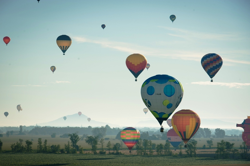 Hot air balloon festival takes flight