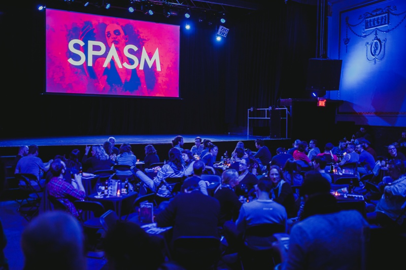 The 17th edition of the SPASM film festival is on