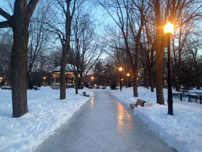 Molson park best spots for skating Montreal