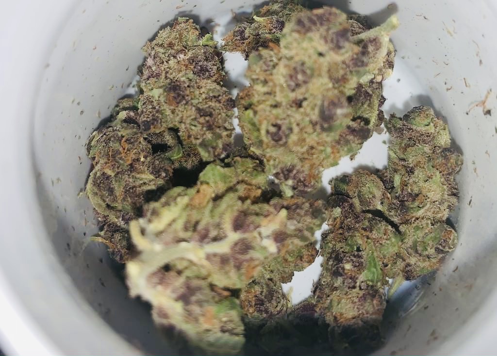 Best Buds SQDC tangerine dream reviews review