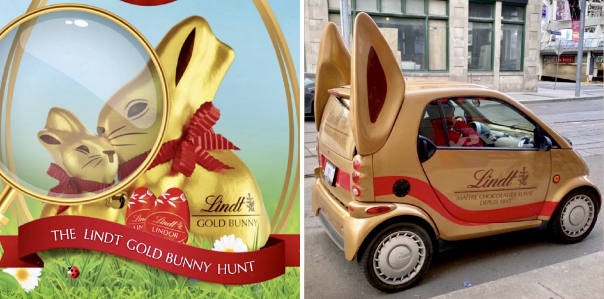 Lindt Gold Bunny Montreal car hunt