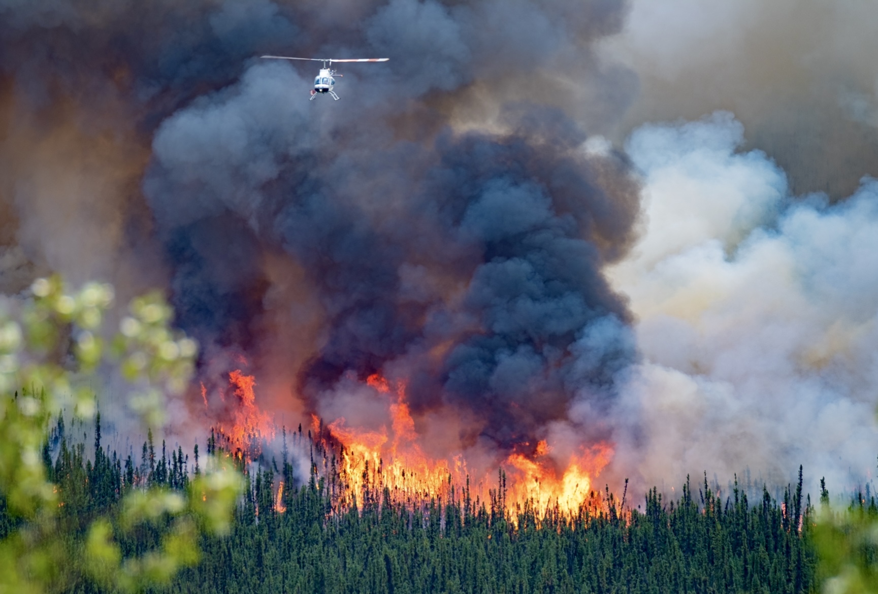 climate change wildfires direct link Canadians