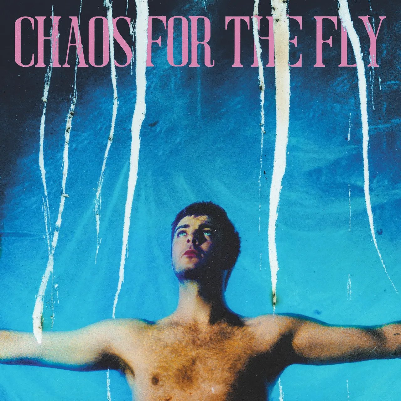 Grian Chatten, Chaos for the Fly review