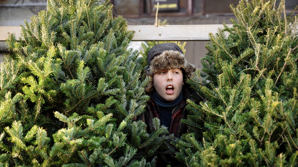 Sapin$ is Quebec’s fun, heartfelt, multiethnic addition to the Christmas movie overload