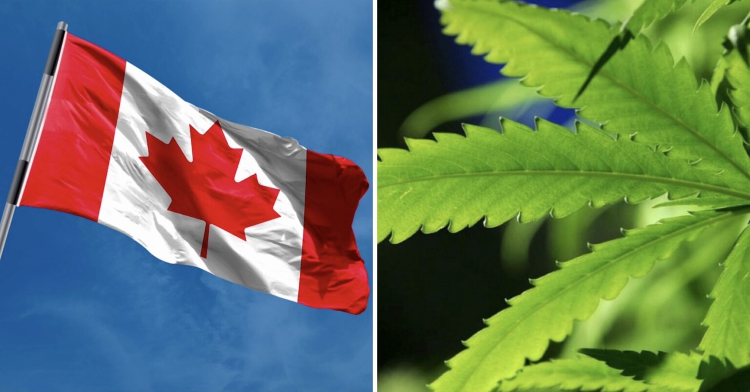 cannabis legalization canada