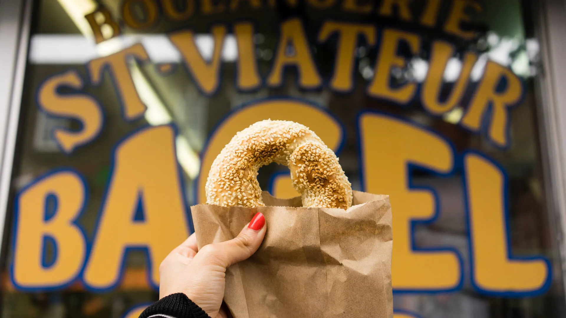 Bagels in Montreal Best of MTL