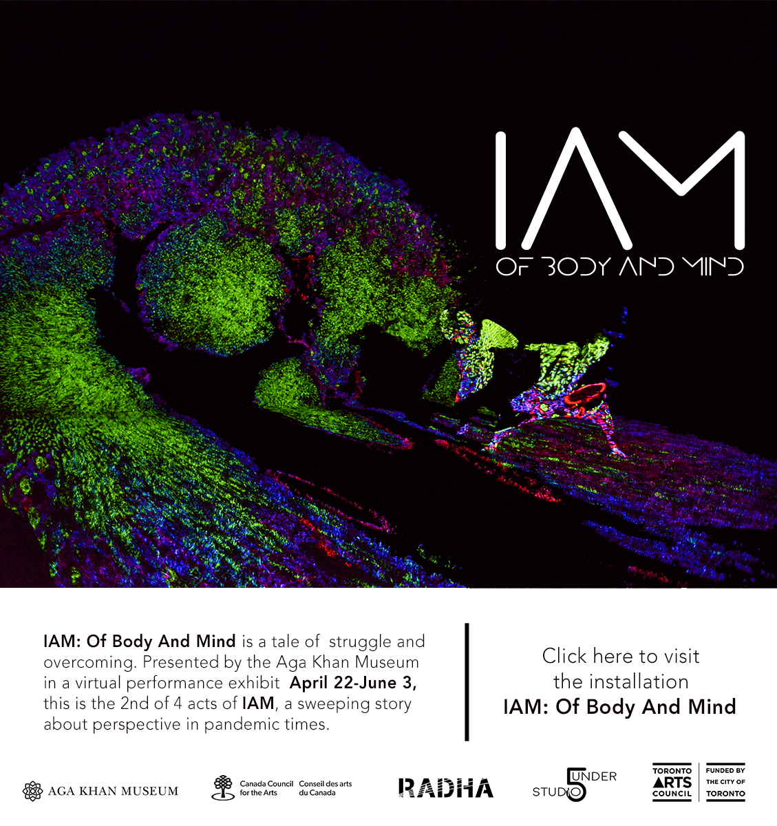 IAM – Of Body of Mind