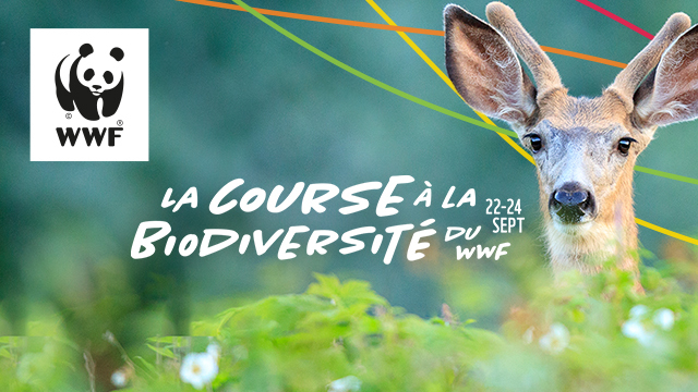 La Course a la biodiversite du WWF-Canada du 22 au 24 sept/ WWF-Canada’s Race for Wildlife