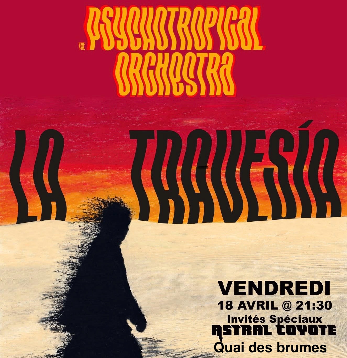 Psychotropical Orchestra Album Launch